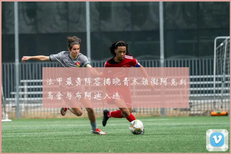 法甲最贵阵容揭晓青木领衔阿克利乌舍与布阿迪入选