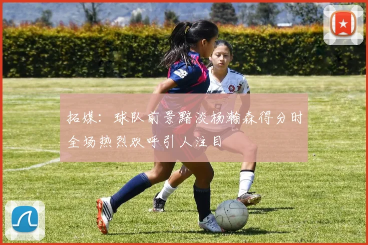 拓媒：球队前景黯淡杨瀚森得分时全场热烈欢呼引人注目