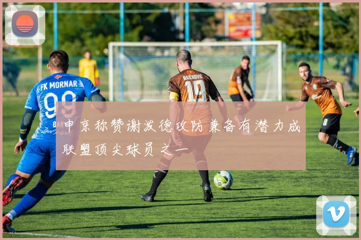 申京称赞谢泼德攻防兼备有潜力成联盟顶尖球员之一