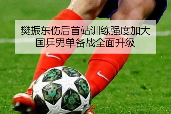 樊振东伤后首站训练强度加大 国乒男单备战全面升级